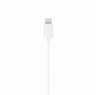 Image result for Kõrvaklapid iPhone Adapter