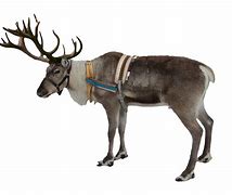 Image result for Reindeer Hat Backwards Pajamas