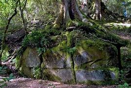 Image result for New Zealand Ancient Stone Wall