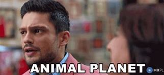 Image result for Animal Planet Meme