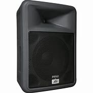 Image result for Peavey Powered Speakers