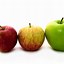 Image result for Compare and Contrast Apples and Oranges