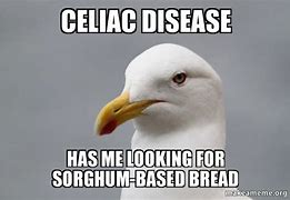 Image result for Celiac Memes