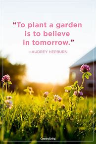 Image result for Inspiring Summer Quotes