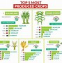 Image result for Crops Grown by State