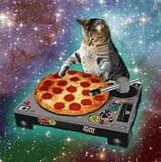 Image result for Sami Pizza Cats Meme