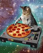 Image result for Cheese Pizza Cat Meme