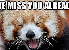 Image result for We Will Miss You Meme Work