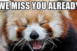 Image result for We Miss You Already Meme