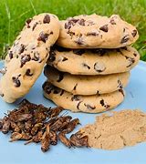 Image result for Chocolate Cricket Cookies