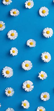 Image result for Cute Simple Wallpaper for Iphoone