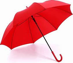 Image result for Clear Umbrella