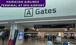 Image result for Hawaiian Airlines SFO Terminal