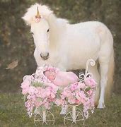 Image result for Black Real Baby Unicorn