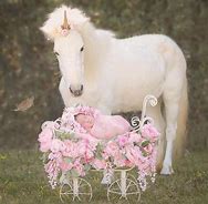 Image result for Pretty Baby Real Unicorns