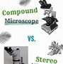 Image result for Portable Microscope for iPhone
