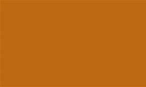 Image result for Pantone 153 C