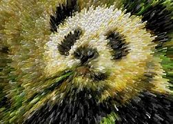 Image result for Cute Panda Eating Bamboo