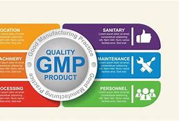 Image result for Good Manufacturing Practices Template