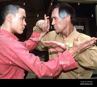 Image result for Old Kung Fu Master