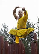 Image result for Ancient Kung Fu Fighter