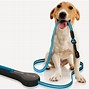 Image result for Clip for Dog Leash