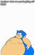 Image result for Sonic Memes Fat-Phobic