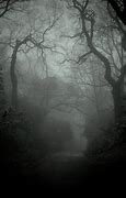 Image result for Dark Forest Tumblr