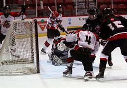Image result for Moose Jaw Hockey