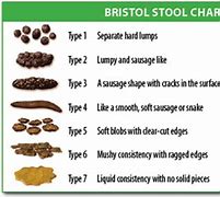 Image result for Gritty Stool