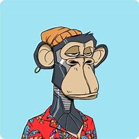 Image result for Bored Ape NFT