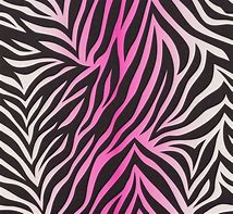 Image result for Pink and Black Zebra Stripes