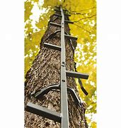 Image result for Tree Stand Climbing Sticks