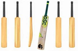 Image result for White Cricket Bat