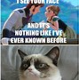 Image result for Disney Character Memes