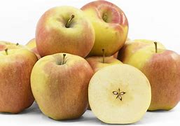 Image result for Small Ambrosia Apples
