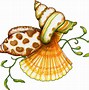 Image result for Clam Shell Clip Art