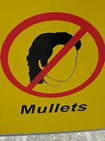 Image result for No Mullets T-Shirt