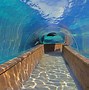 Image result for Atlantis Resort Paradise Island Bahamas