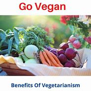 Image result for Vegetarian Advantages