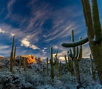 Image result for Arizona Winter