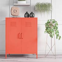 Image result for Orange Shelves