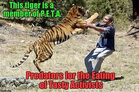 Image result for Tiger Predator Meme