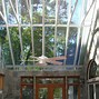 Image result for Conservatory Glass Roof Panels