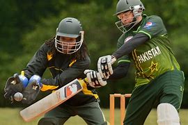 Image result for Cricket in USA