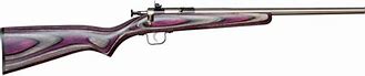 Image result for 22 Crickett Youth Rifle