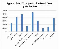 Image result for Misappropriation of Assets Accounting