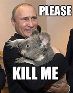 Image result for Putin Meme Sucess