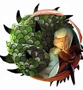 Image result for Armadillo Rolling