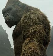 Image result for King Kong Kaiju